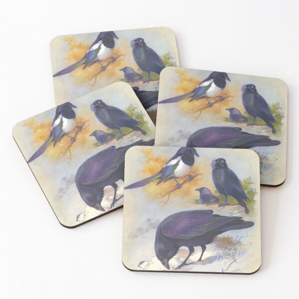 Item preview, Archilbald Thorburn's British Birds 1916 designed and sold by Lloyd Library & Museum.