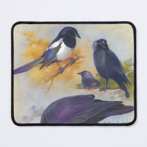 Item preview, Archilbald Thorburn's British Birds 1916 designed and sold by Lloyd Library & Museum.