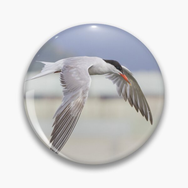 Item preview, Common Tern designed and sold by LaurenTucker.