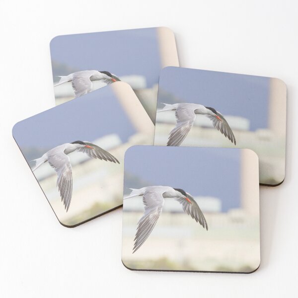 Item preview, Common Tern designed and sold by LaurenTucker.