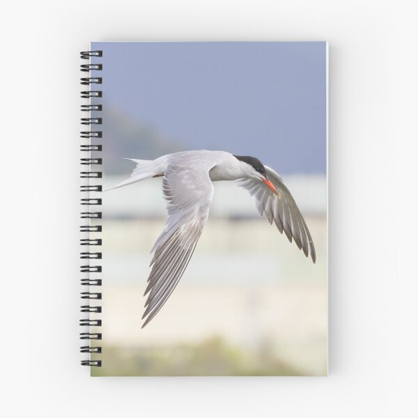 Item preview, Common Tern designed and sold by LaurenTucker.