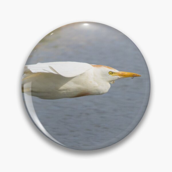 Item preview, Western Cattle Egret designed and sold by LaurenTucker.