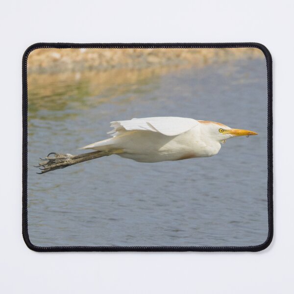 Item preview, Western Cattle Egret designed and sold by LaurenTucker.