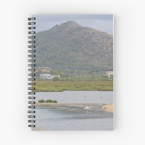 Item preview, Parc Natural de s'Albufera de Mallorca designed and sold by LaurenTucker.