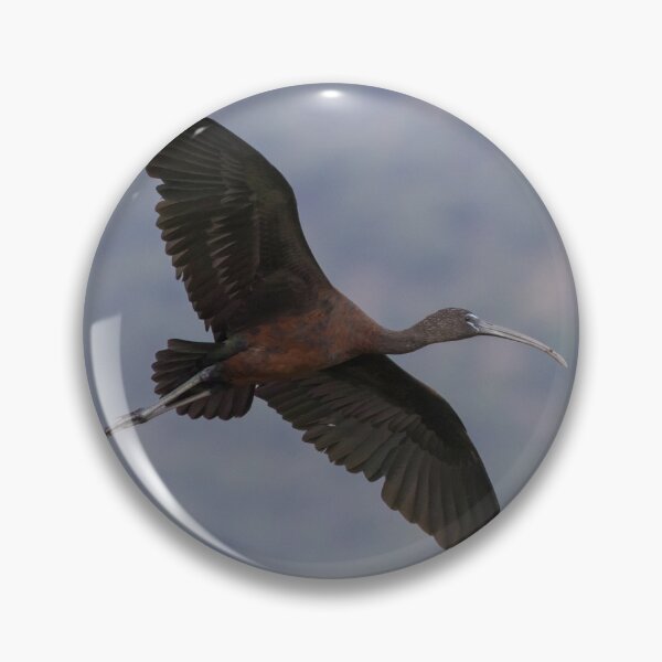 Item preview, Glossy Ibis designed and sold by LaurenTucker.