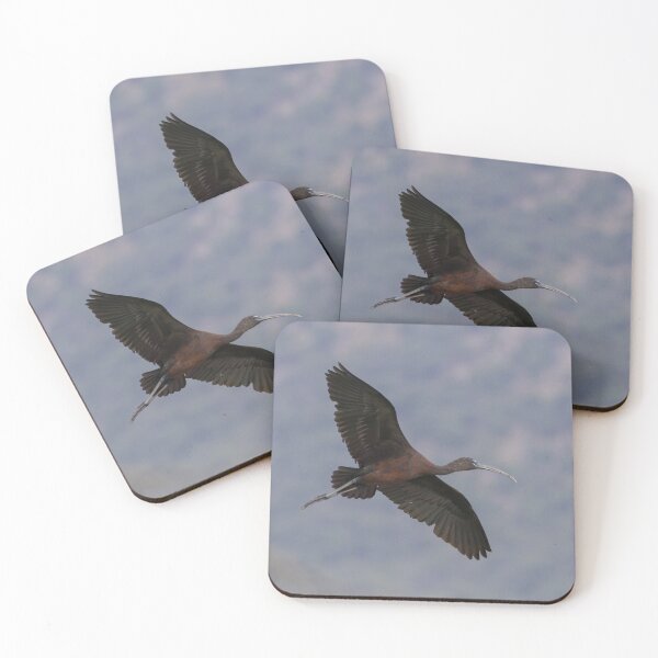 Item preview, Glossy Ibis designed and sold by LaurenTucker.