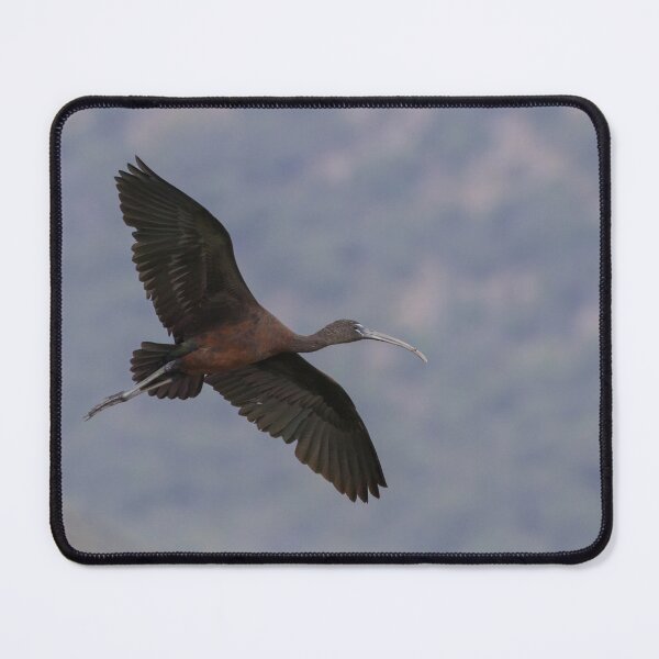Item preview, Glossy Ibis designed and sold by LaurenTucker.
