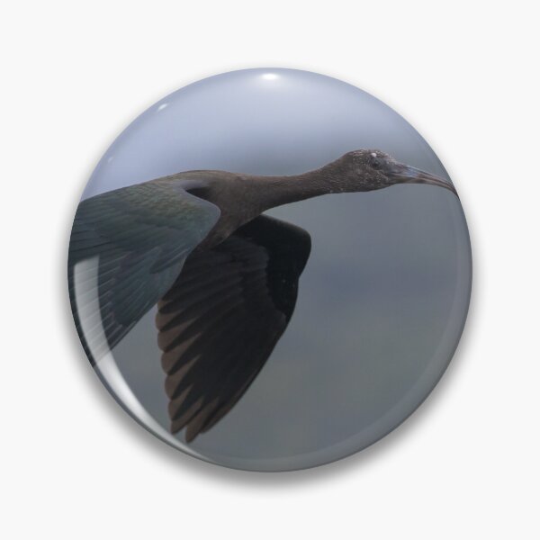 Item preview, Glossy Ibis designed and sold by LaurenTucker.