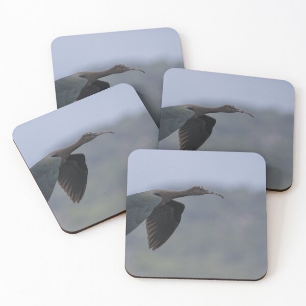 Item preview, Glossy Ibis designed and sold by LaurenTucker.