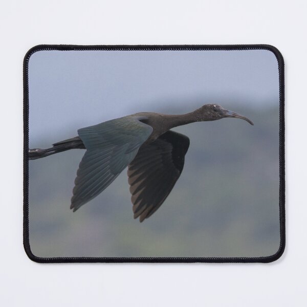 Item preview, Glossy Ibis designed and sold by LaurenTucker.