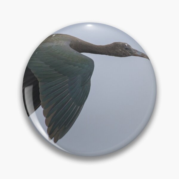 Item preview, Glossy Ibis designed and sold by LaurenTucker.