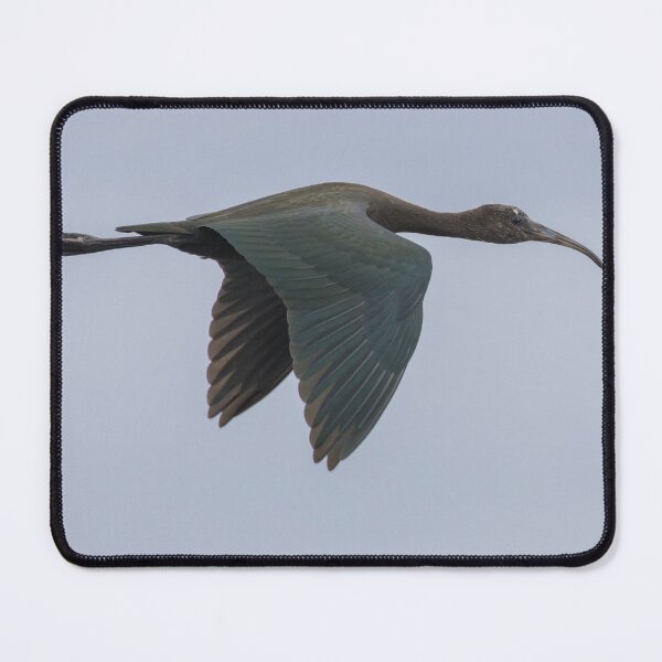 Item preview, Glossy Ibis designed and sold by LaurenTucker.