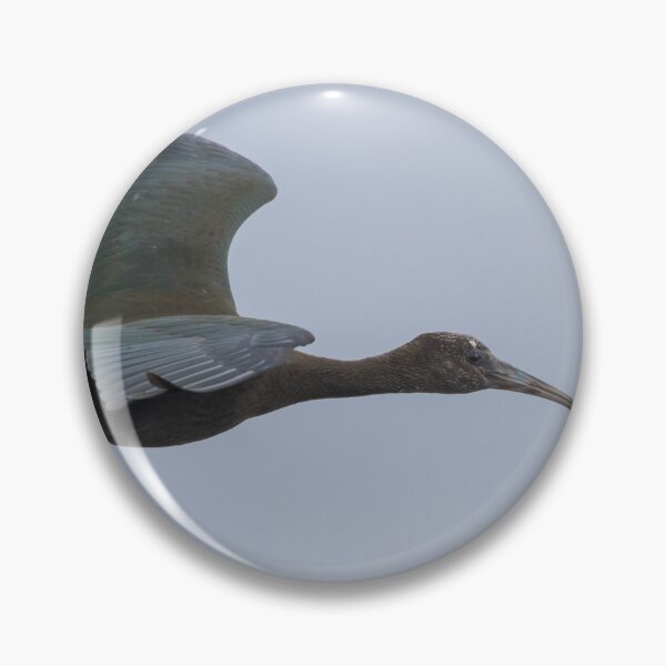 Item preview, Glossy Ibis designed and sold by LaurenTucker.