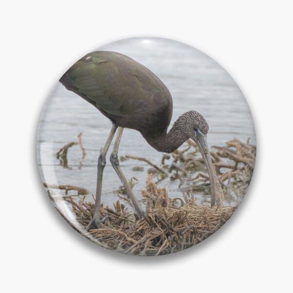 Item preview, Glossy Ibis designed and sold by LaurenTucker.