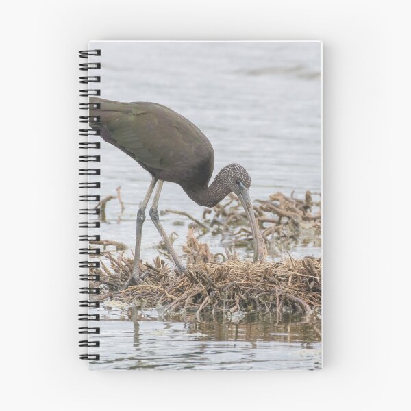 Item preview, Glossy Ibis designed and sold by LaurenTucker.