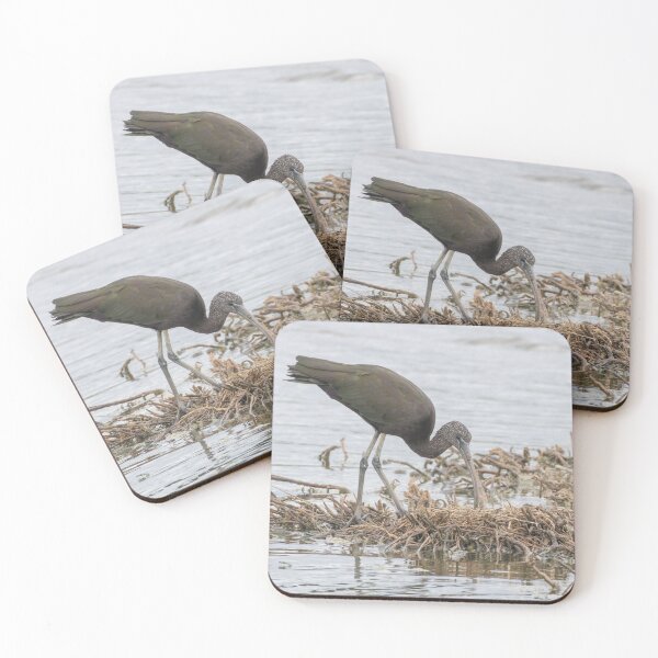 Item preview, Glossy Ibis designed and sold by LaurenTucker.