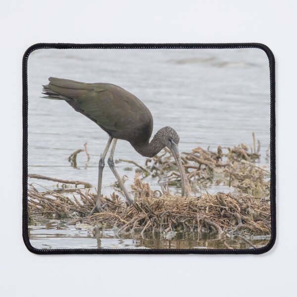 Item preview, Glossy Ibis designed and sold by LaurenTucker.