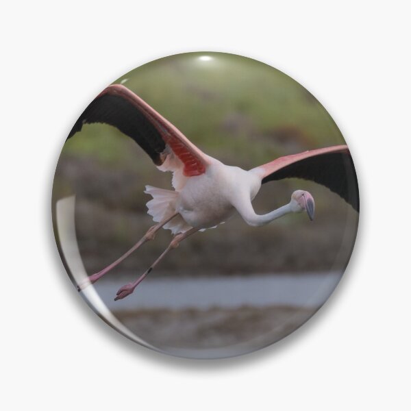 Item preview, Greater Flamingo designed and sold by LaurenTucker.