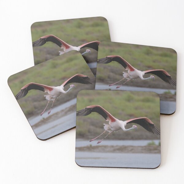 Item preview, Greater Flamingo designed and sold by LaurenTucker.