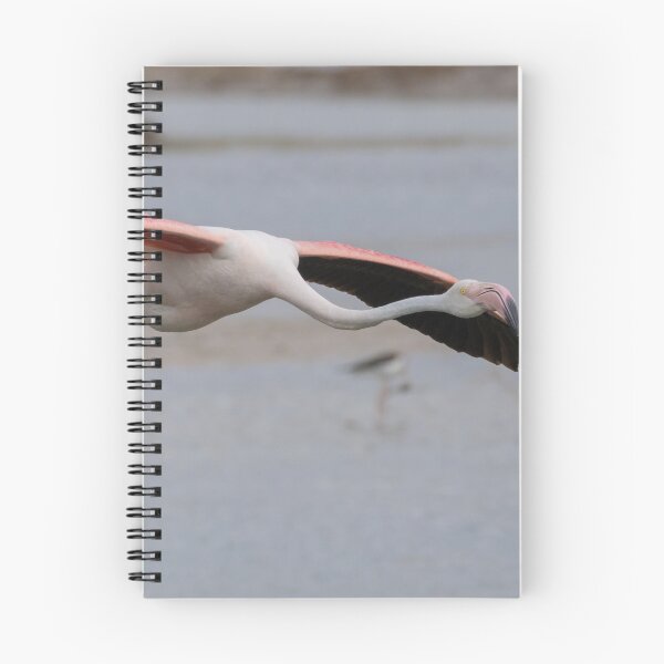 Item preview, Greater Flamingo designed and sold by LaurenTucker.