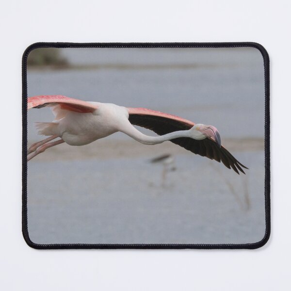 Item preview, Greater Flamingo designed and sold by LaurenTucker.