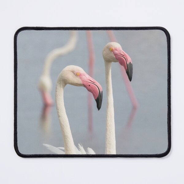 Item preview, Greater Flamingo designed and sold by LaurenTucker.