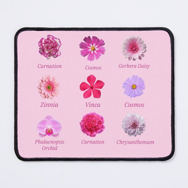 Item preview, Botanical Pink Floral Pack with Carnation, cosmos, orchid, chrysanthemum. designed and sold by Maussa Ivimas.