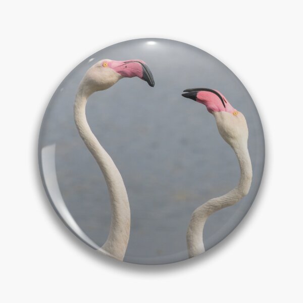 Item preview, Greater Flamingo designed and sold by LaurenTucker.