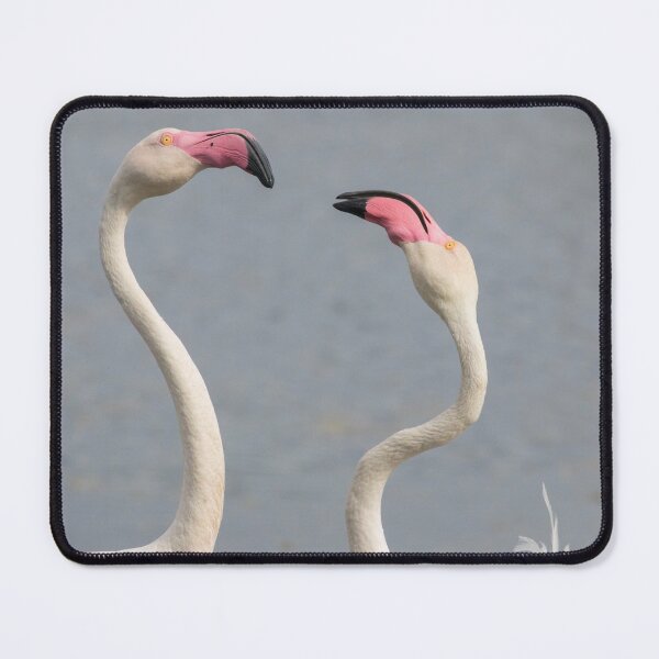 Item preview, Greater Flamingo designed and sold by LaurenTucker.