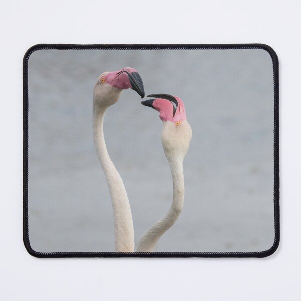 Item preview, Greater Flamingo designed and sold by LaurenTucker.