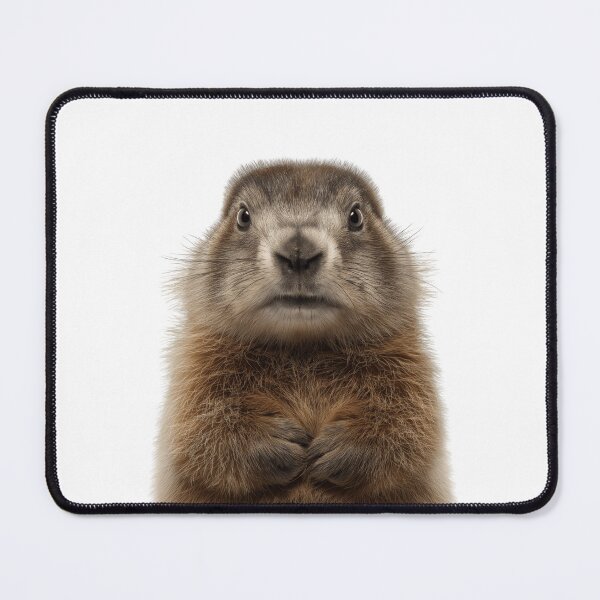Item preview, Adorable Baby Olympic Marmot for Cute Olympic Marmot lovers designed and sold by LazyOwlStore.
