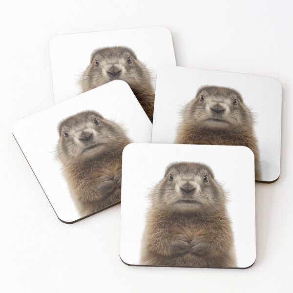 Item preview, Adorable Baby Olympic Marmot for Cute Olympic Marmot lovers designed and sold by LazyOwlStore.