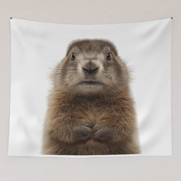 Item preview, Adorable Baby Olympic Marmot for Cute Olympic Marmot lovers designed and sold by LazyOwlStore.