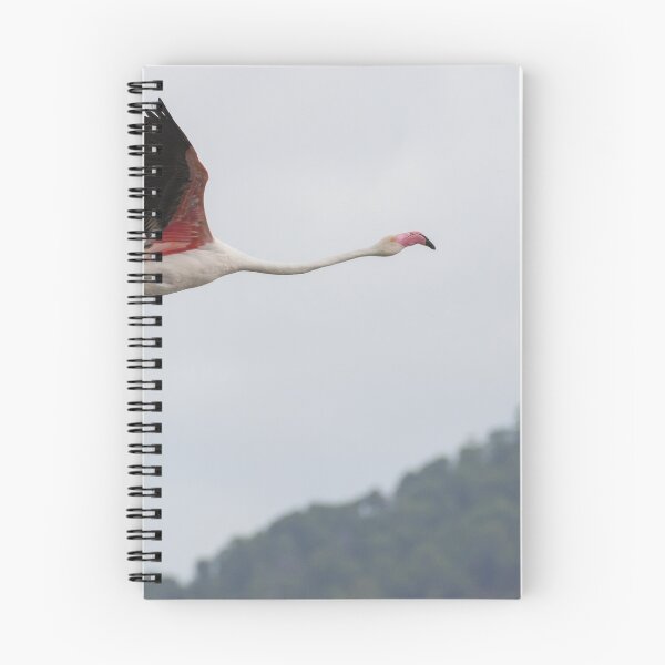 Item preview, Greater Flamingo designed and sold by LaurenTucker.