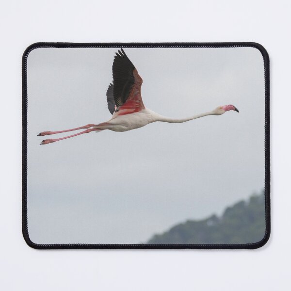 Item preview, Greater Flamingo designed and sold by LaurenTucker.