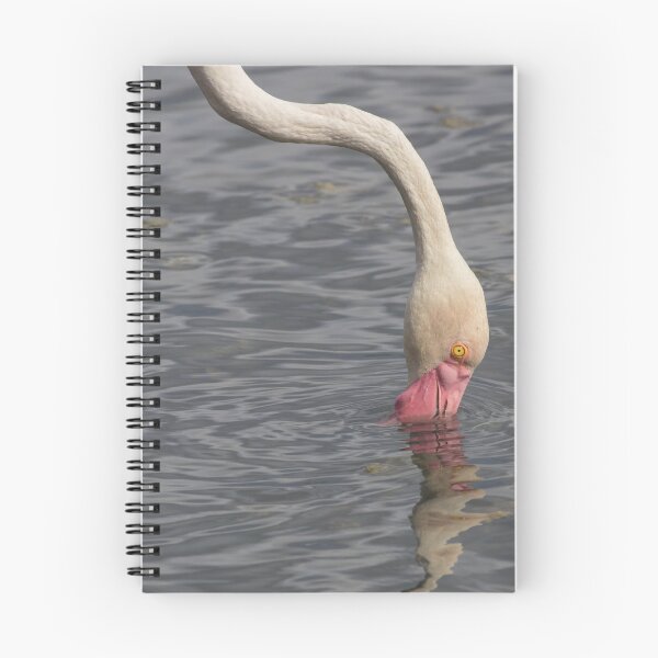 Item preview, Greater Flamingo designed and sold by LaurenTucker.
