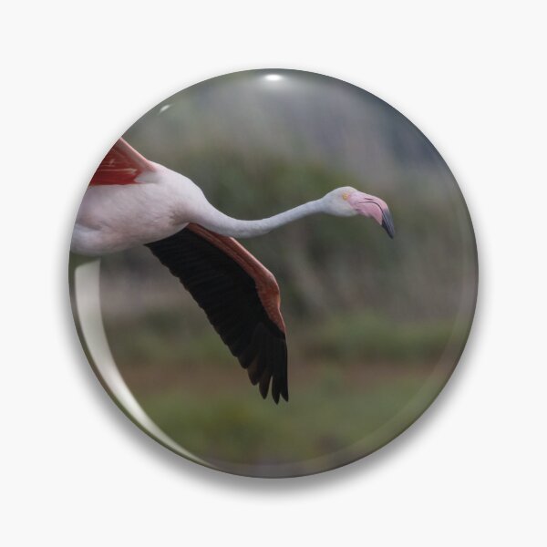 Item preview, Greater Flamingo designed and sold by LaurenTucker.