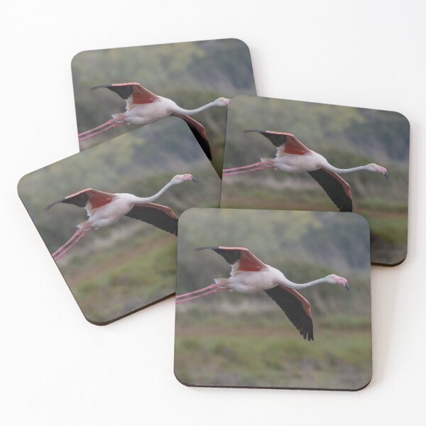 Item preview, Greater Flamingo designed and sold by LaurenTucker.
