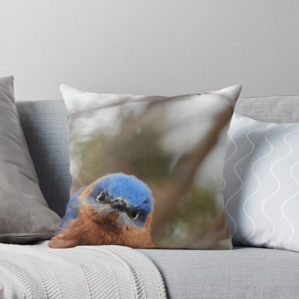 Item preview, He's Looking at You!  Eastern Bluebird designed and sold by WonderingNature.