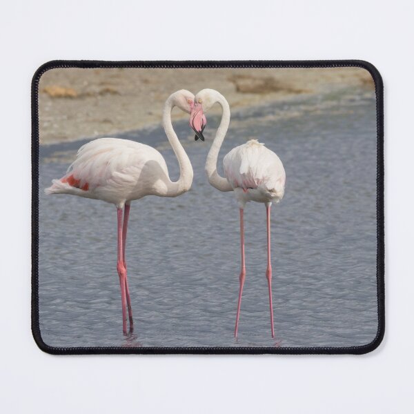 Item preview, Greater Flamingo designed and sold by LaurenTucker.