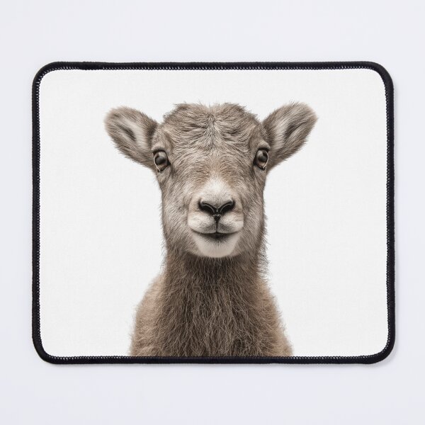 Item preview, Adorable Baby Bighorn sheep for Cute Bighorn sheep lovers designed and sold by LazyOwlStore.