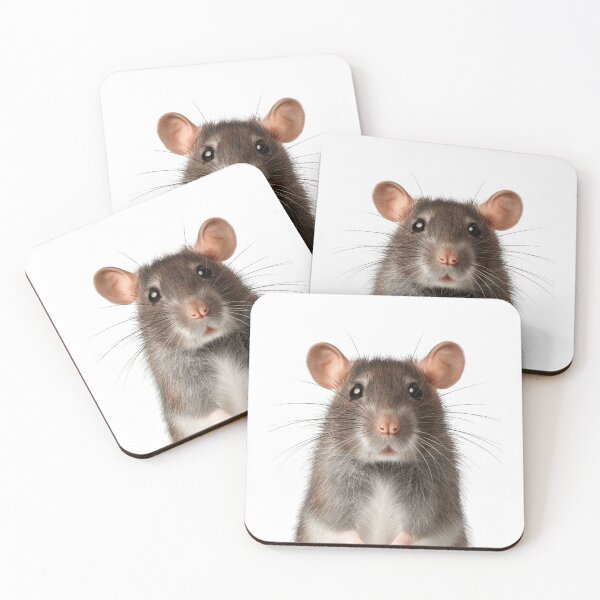 Item preview, Adorable Baby Rat for Cute Rat lovers designed and sold by LazyOwlStore.