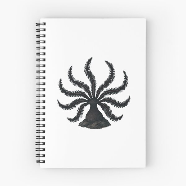 Item preview, Feather Star – Black Elegant Marine Invertebrate Art designed and sold by Vendeloc.