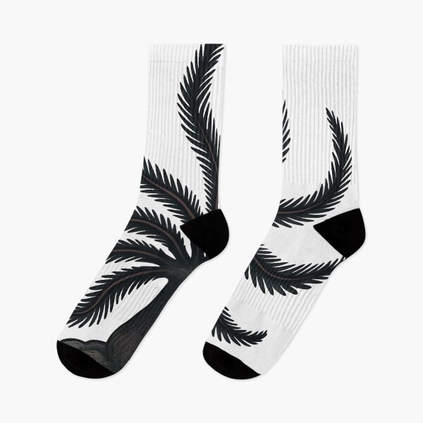 Item preview, Feather Star – Black Elegant Marine Invertebrate Art designed and sold by Vendeloc.