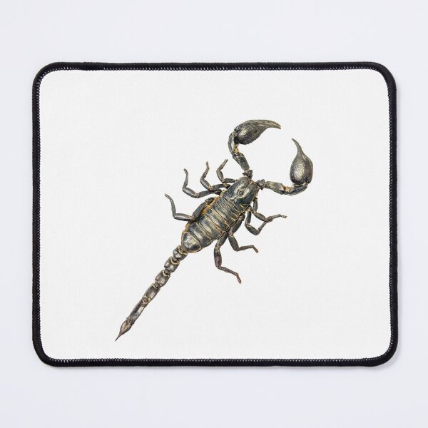 Item preview, Giant forest scorpion is an asian arachnid. designed and sold by MYTOPSHELF.