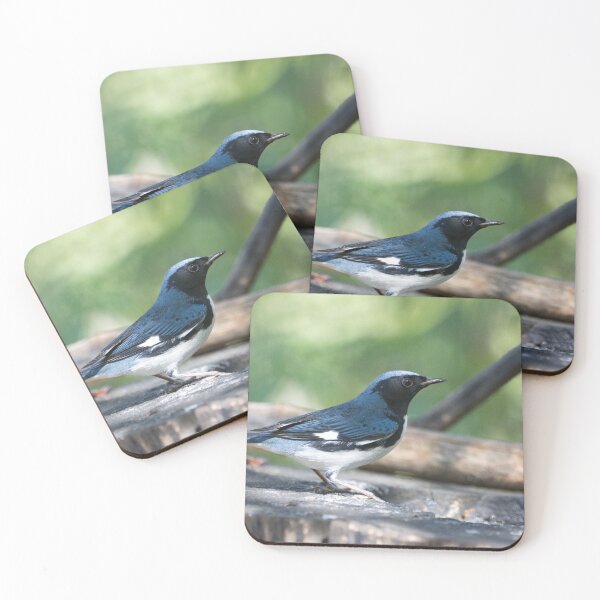 Item preview, Black-throated Blue Warbler designed and sold by EnglandEcology.