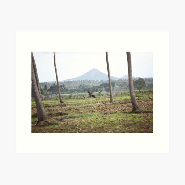 Item preview, Farming in India designed and sold by Dhulcity.