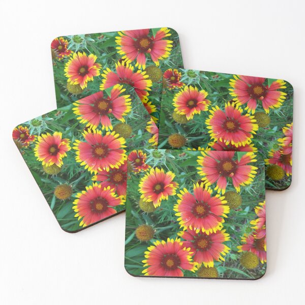 Item preview, Blanket flowers photo designed and sold by Sky-99.