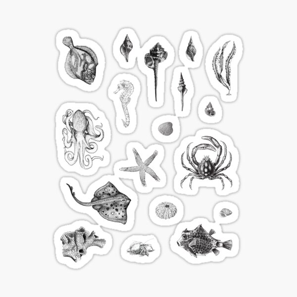 Item preview, Seashore Dwellers - Vintage Illustrations | Collection designed and sold by Adams-Lilith.