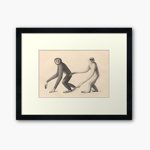 Item preview, Gibbons from "Natural History and Illustrations of Mammals" by Heinrich Rudolf Schinz, 1824 designed and sold by mariapopova.